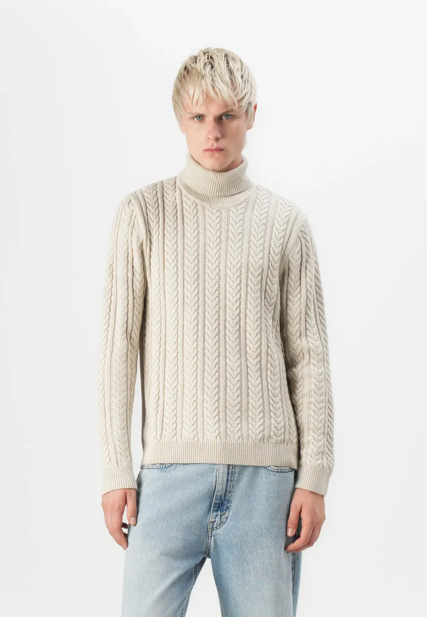 JPRBLUSEAN CABLE ROLL NECK - Strickpullover - silver lining