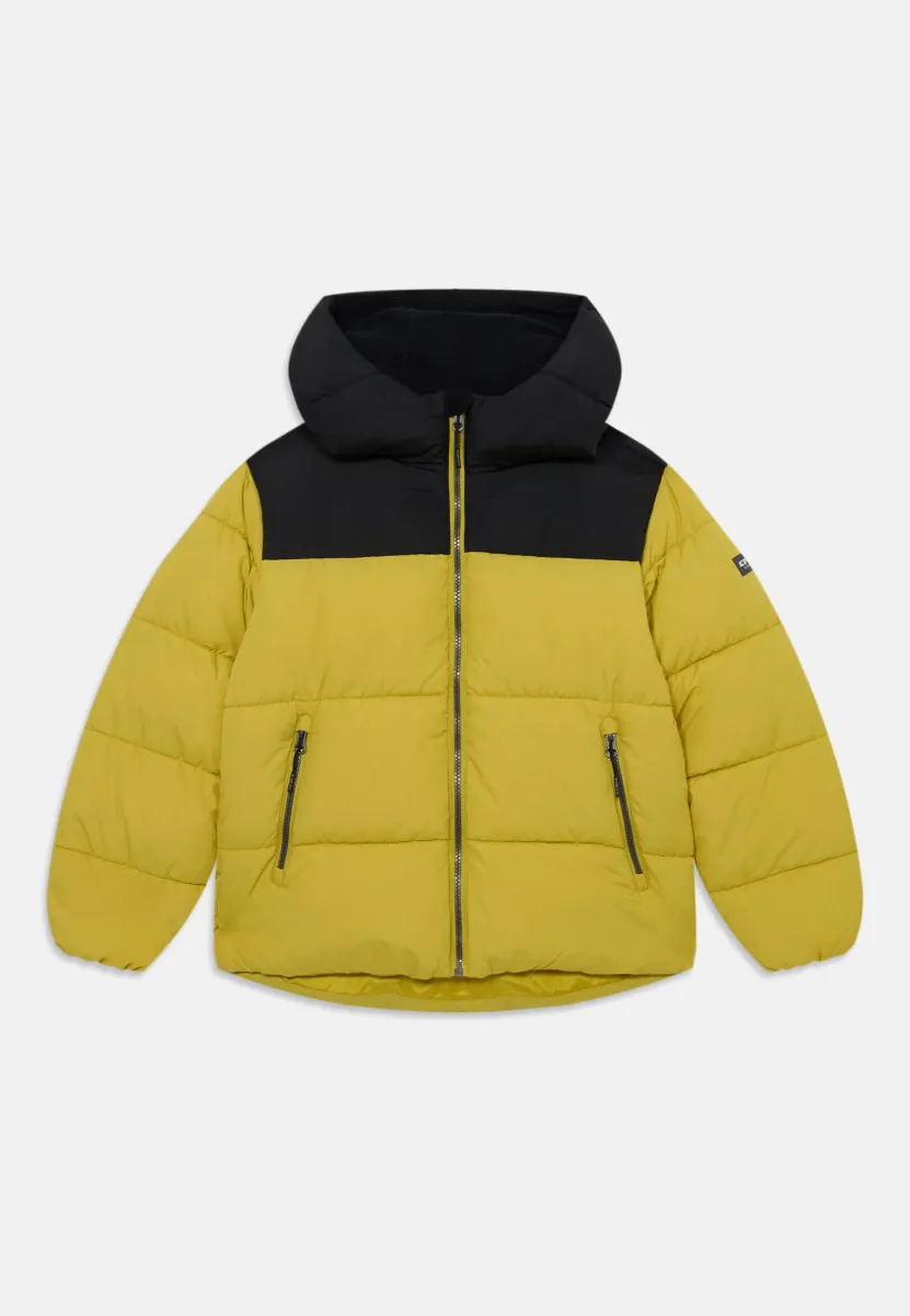 KENMARE UNISEX - Winterjacke - olive