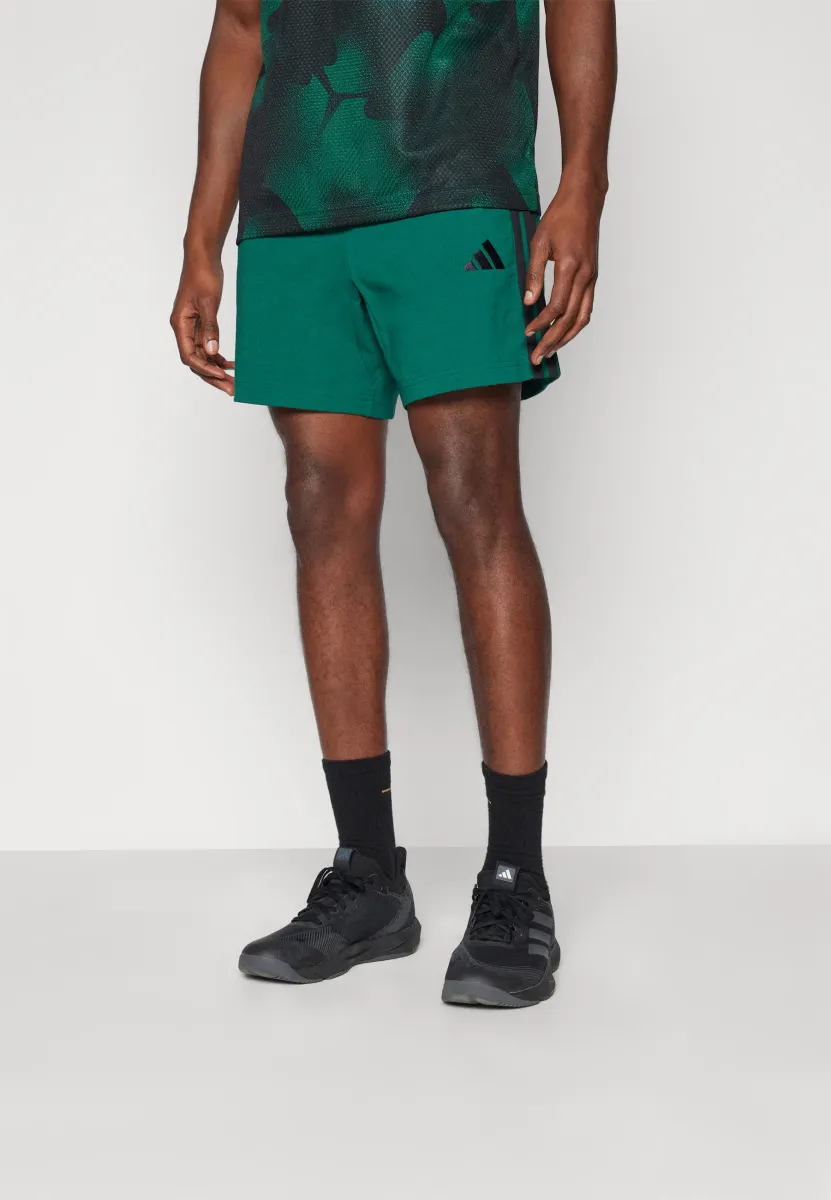 Kurze Sporthose - collegiate green/black