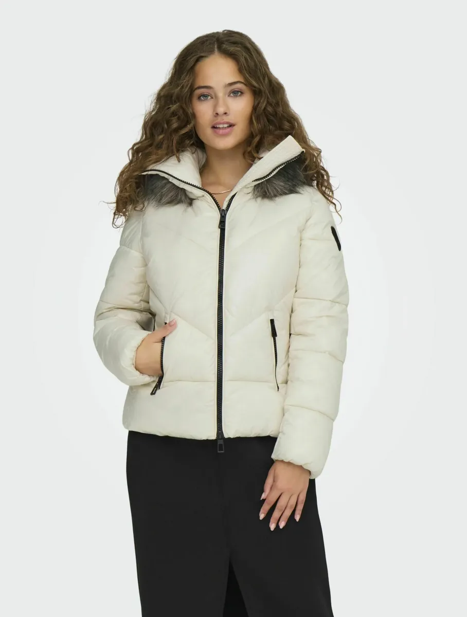 LIFE CC OTW - Winterjacke - birch