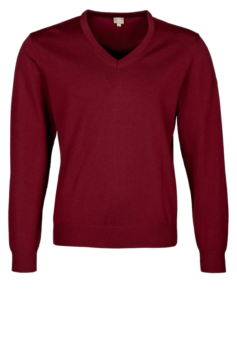 LINE V-AUSSCHNITT - Strickpullover - rot