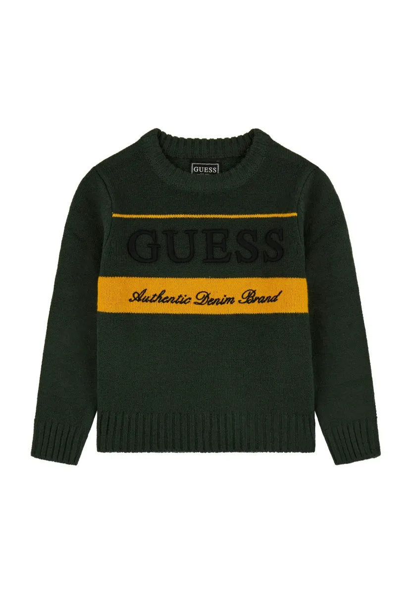 LOGOSTICKEREI - Strickpullover - dunkelgrün