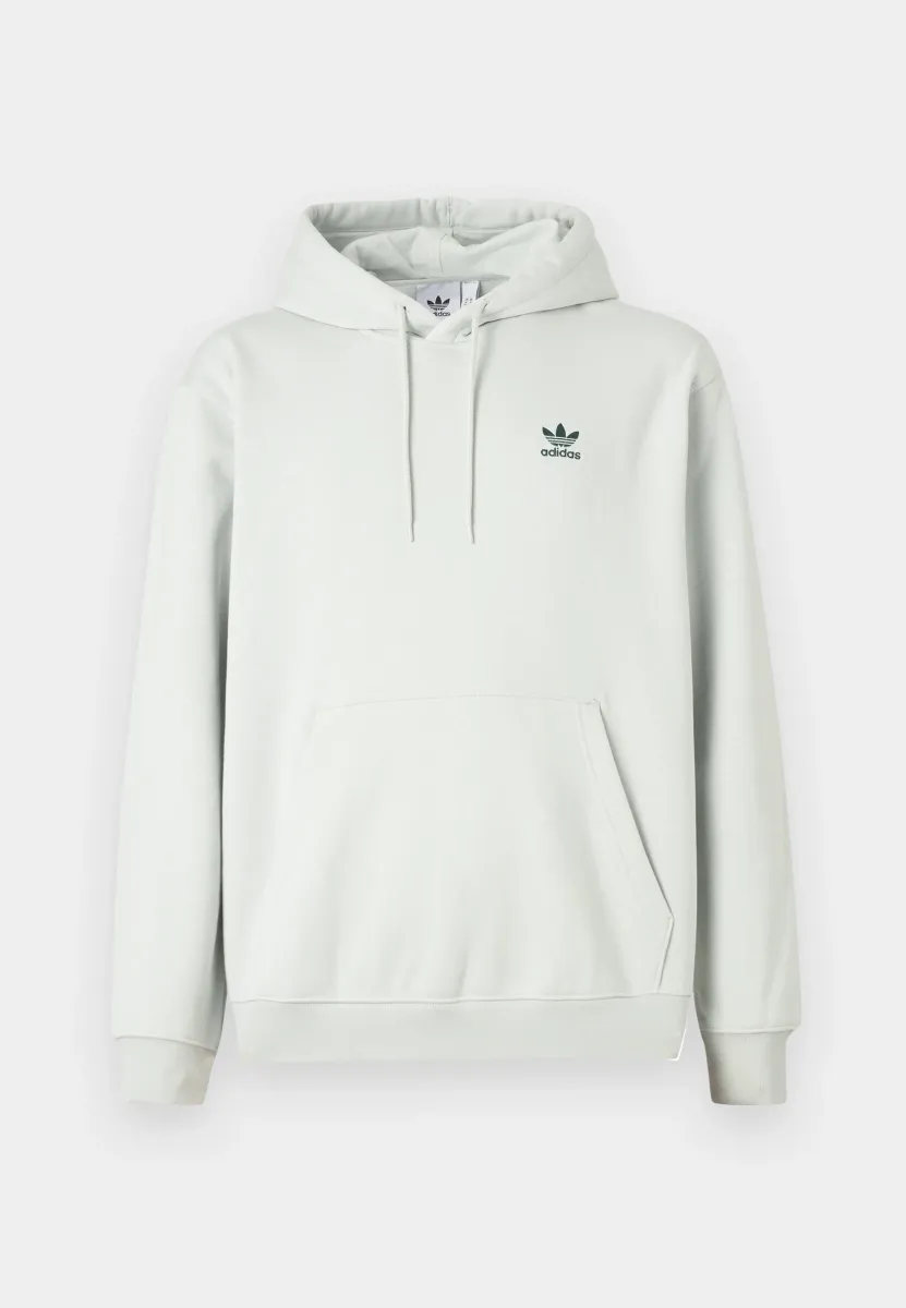 LOOSE UNISEX - Kapuzenpullover - light green