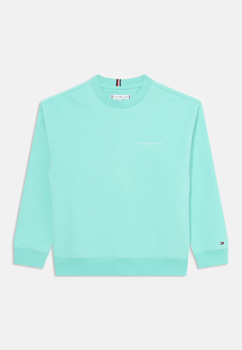 MINI CORP UNISEX - Sweatshirt - menthol