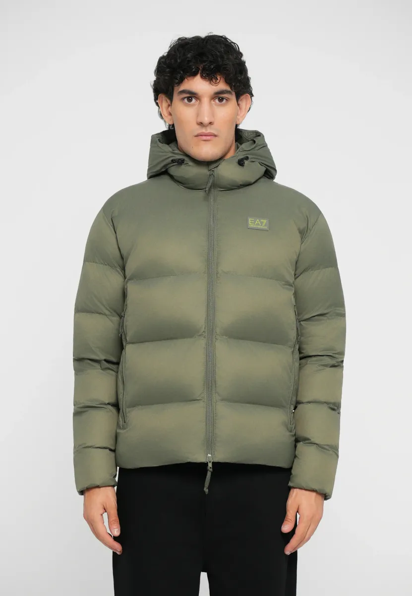 MOUNTAIN POLAR LOGO FREE STYLE - Winterjacke - mulled basil