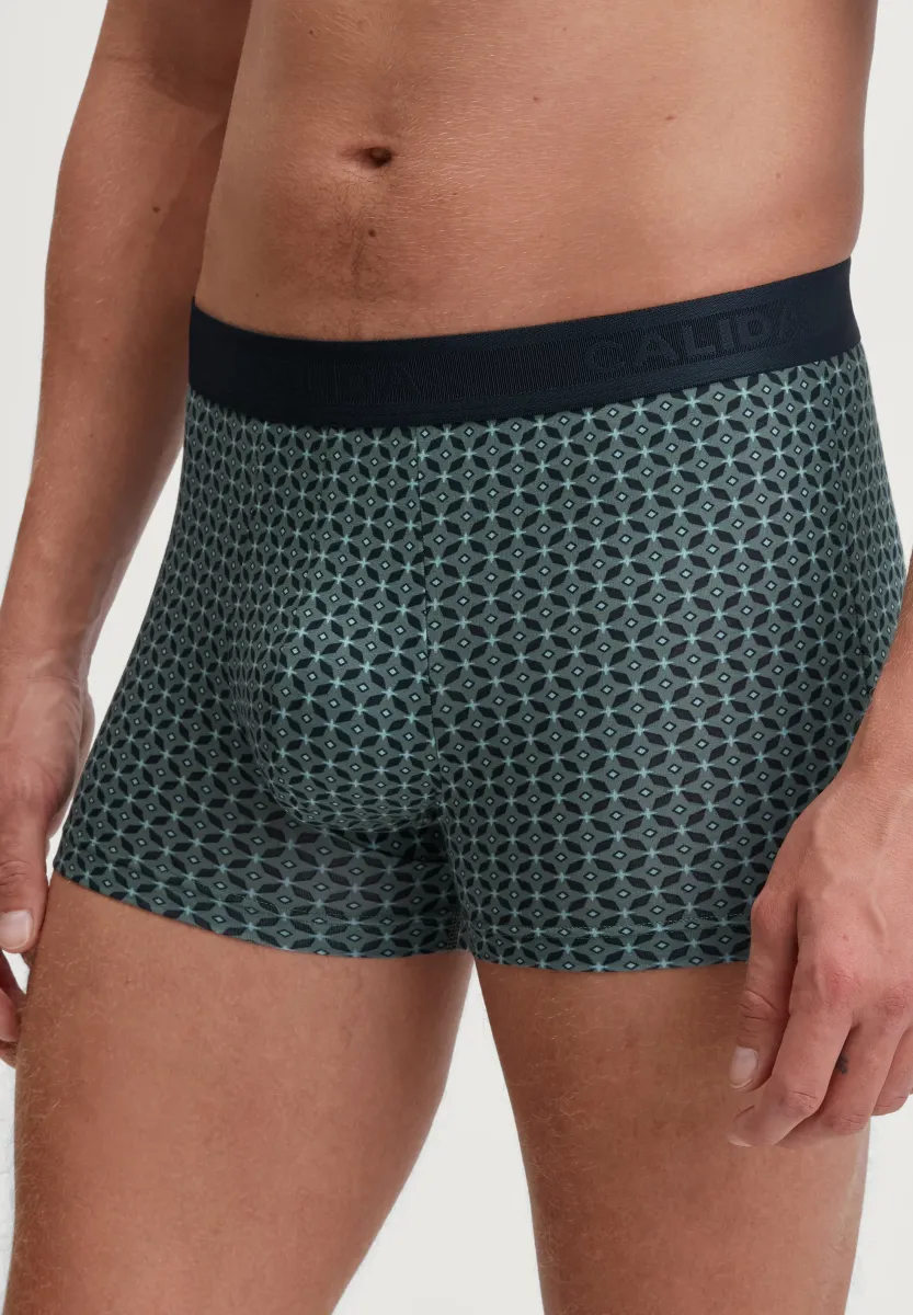 NEW - Boxer Briefs - dark glen