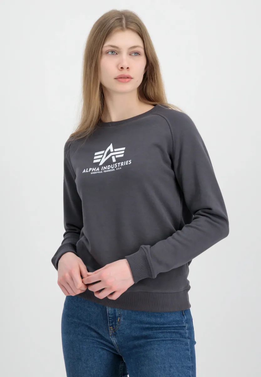 NEW  - Sweatshirt - vintage grey