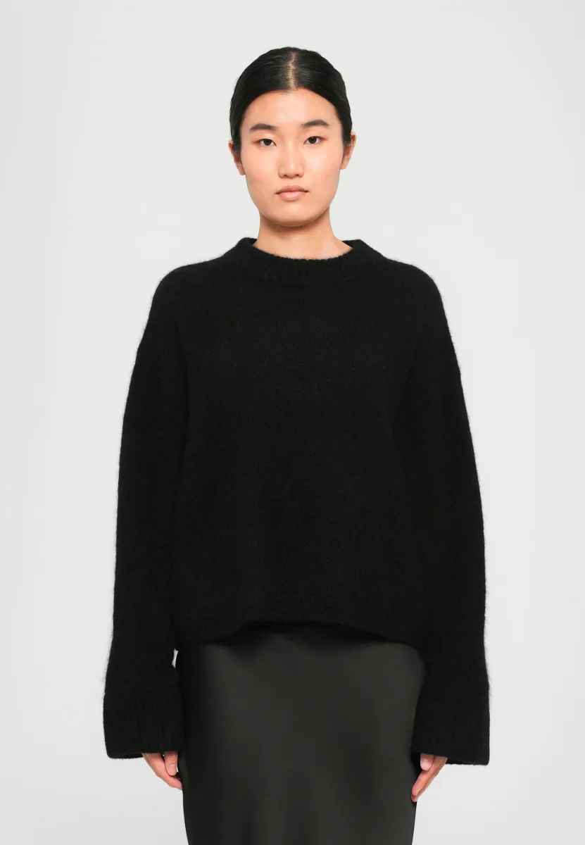 NICLAS - Strickpullover - black