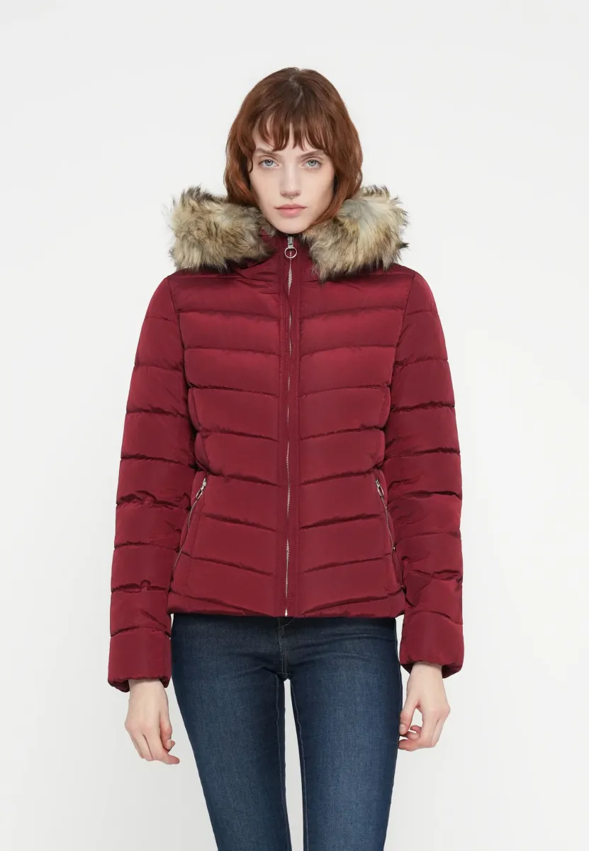 ONLELLAN HOOD LIFE - Winterjacke - cabernet