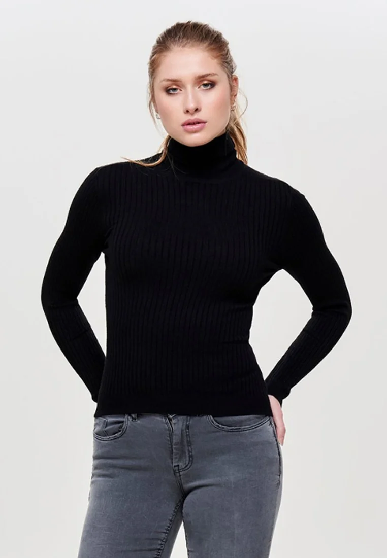 ONLKAROL ROLL NECK - Strickpullover - black