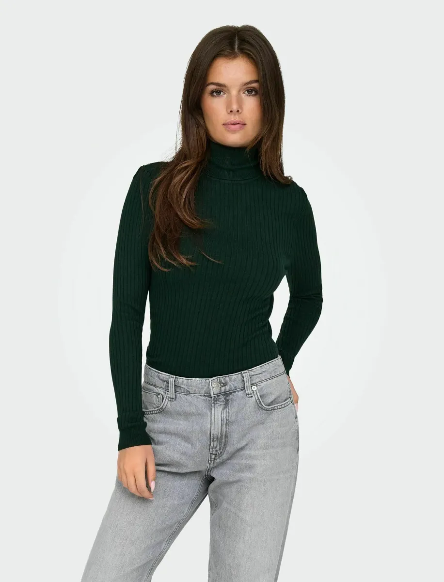 ONLKAROL ROLL NECK - Strickpullover - scarab