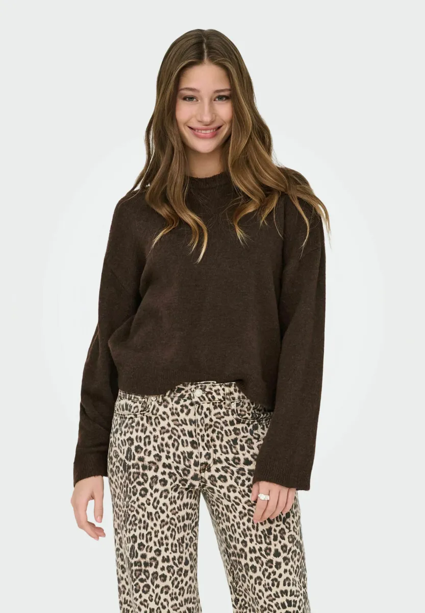 ONLSIMONI O-NECK NOOS - Strickpullover - coffee bean