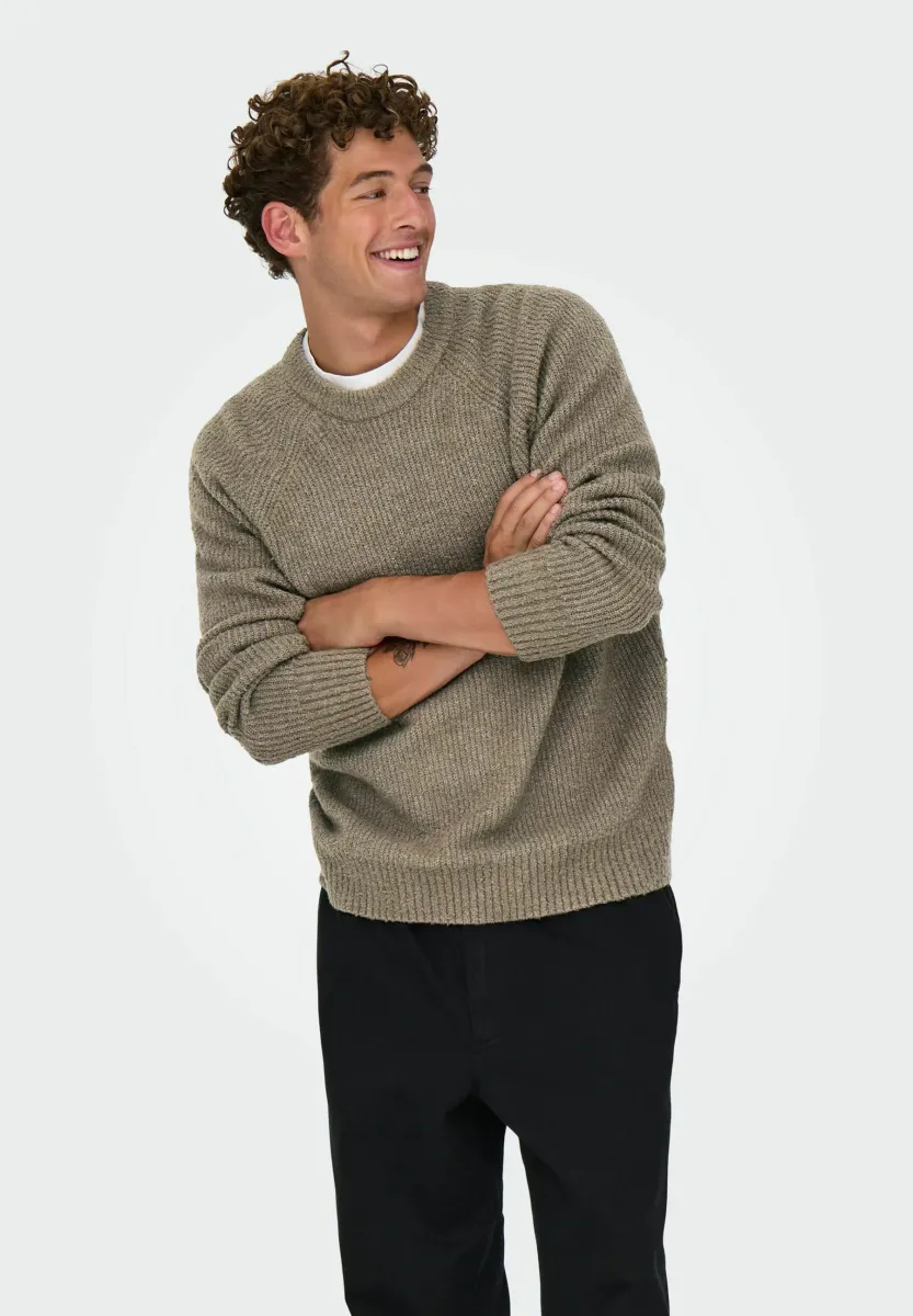 ONSDALE LIFE RLX LS RAGLAN  - Strickpullover - walnut