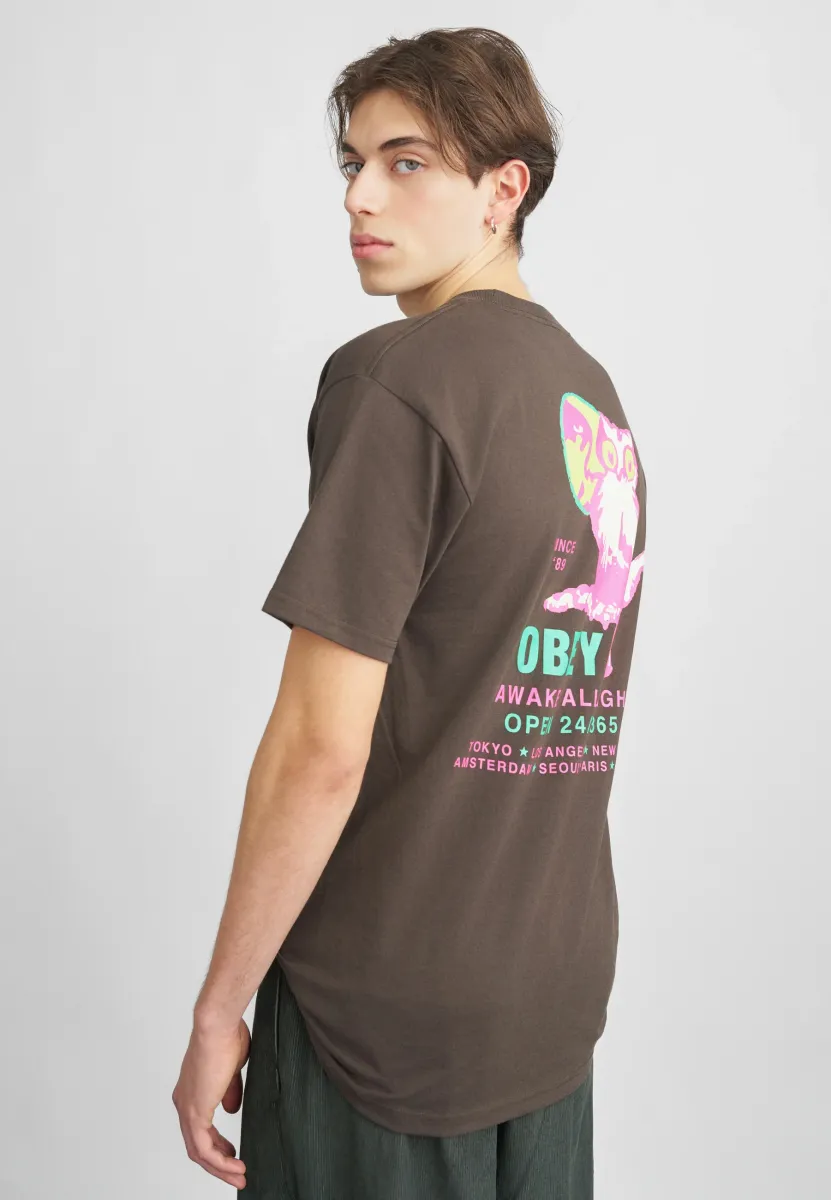 OWL - T-Shirt print - java rown