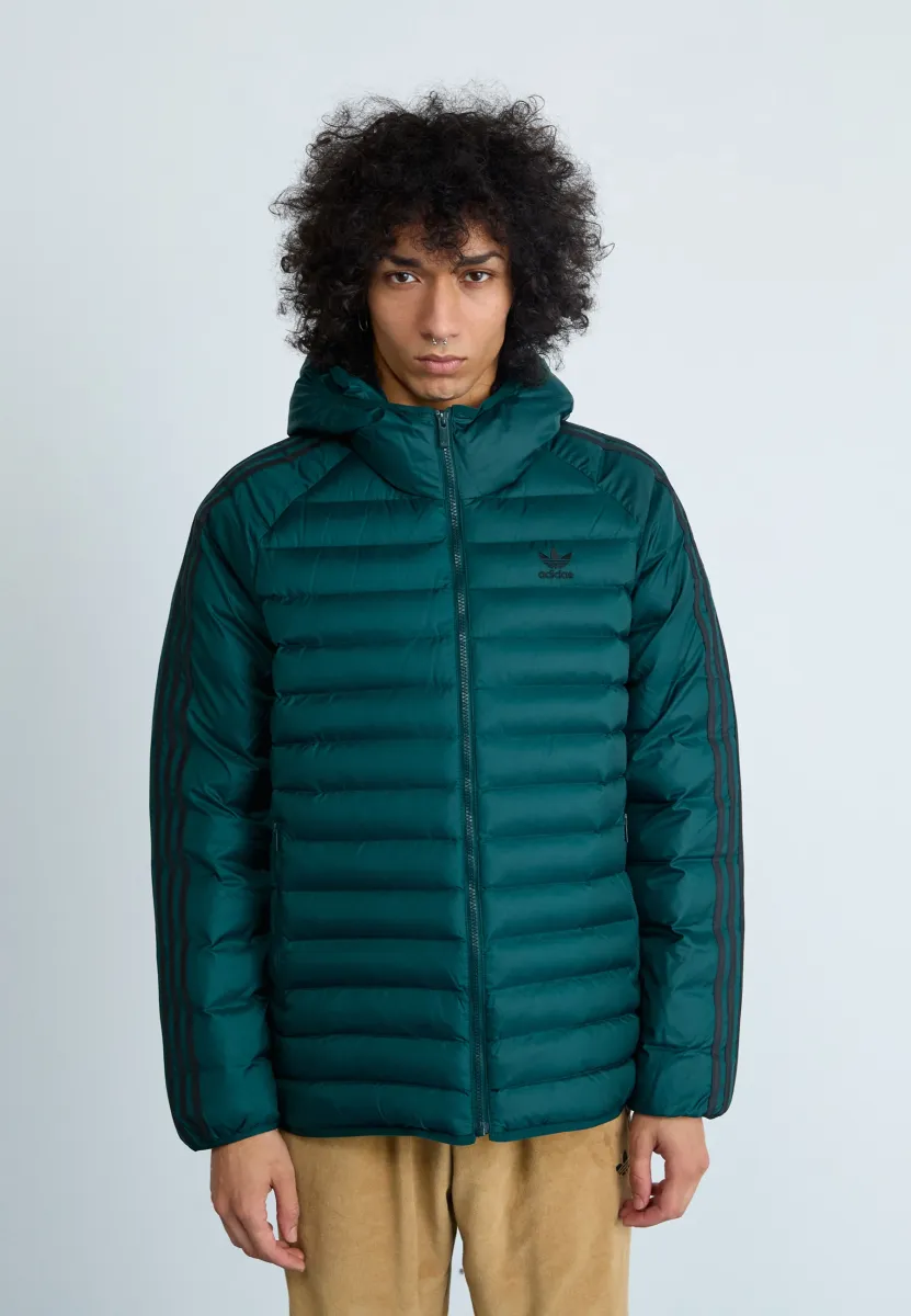 PAD HOODED  - Winterjacke - aurora ivy