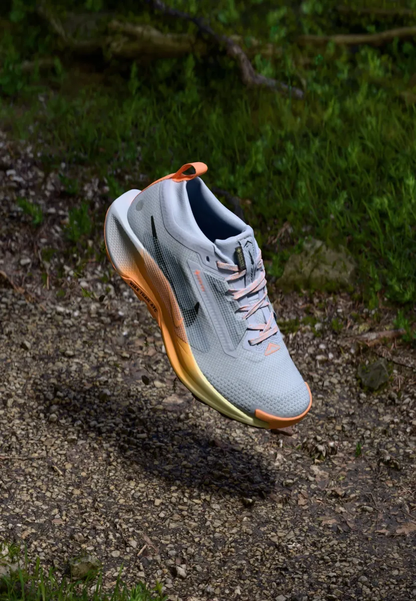 PEGASUS 5 - Laufschuh Trail - ghost/black/malt/orange pulse/alabaster