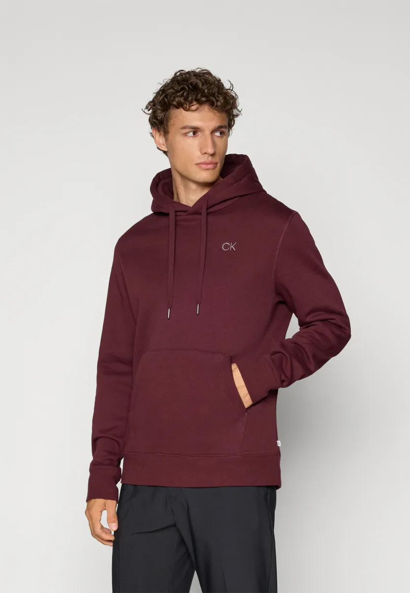 PLANET HOODIE - Kapuzenpullover - burgundy