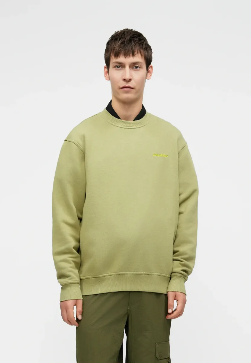 PLENTYWOOD - Sweatshirt - evergreen sprig