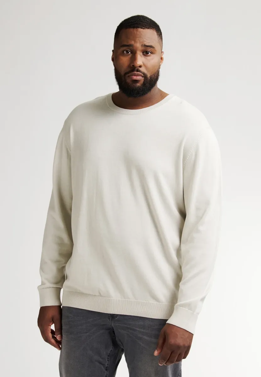 PLUS SIZE BASIC CREW NECK  RHINELANDER - Strickpullover - antique white melee