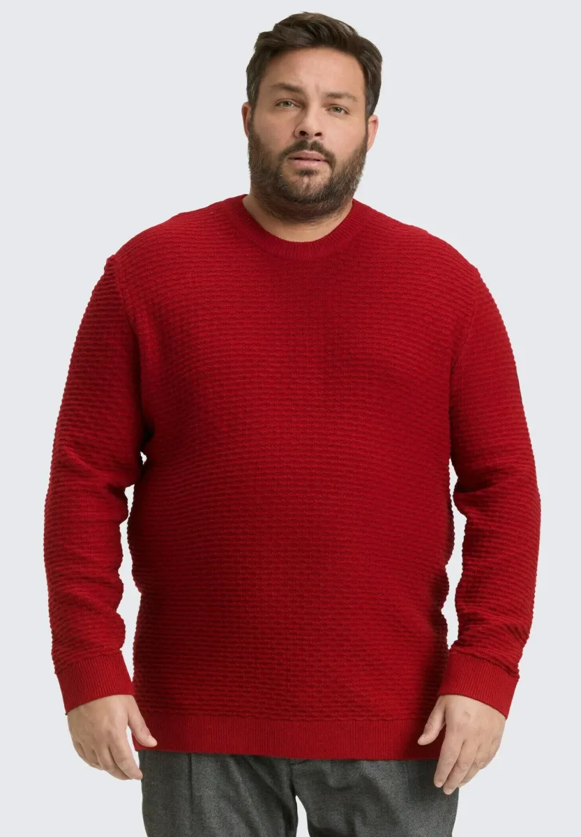 PLUS SIZE MIT RUNDHALSAUSSCHNITT - Strickpullover - coach red