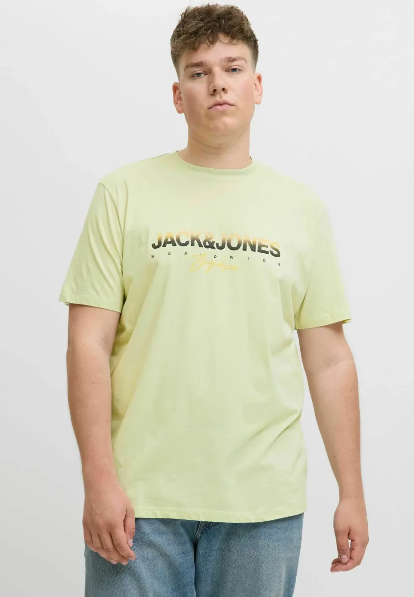 PLUS SIZE - T-Shirt print - celadon tint