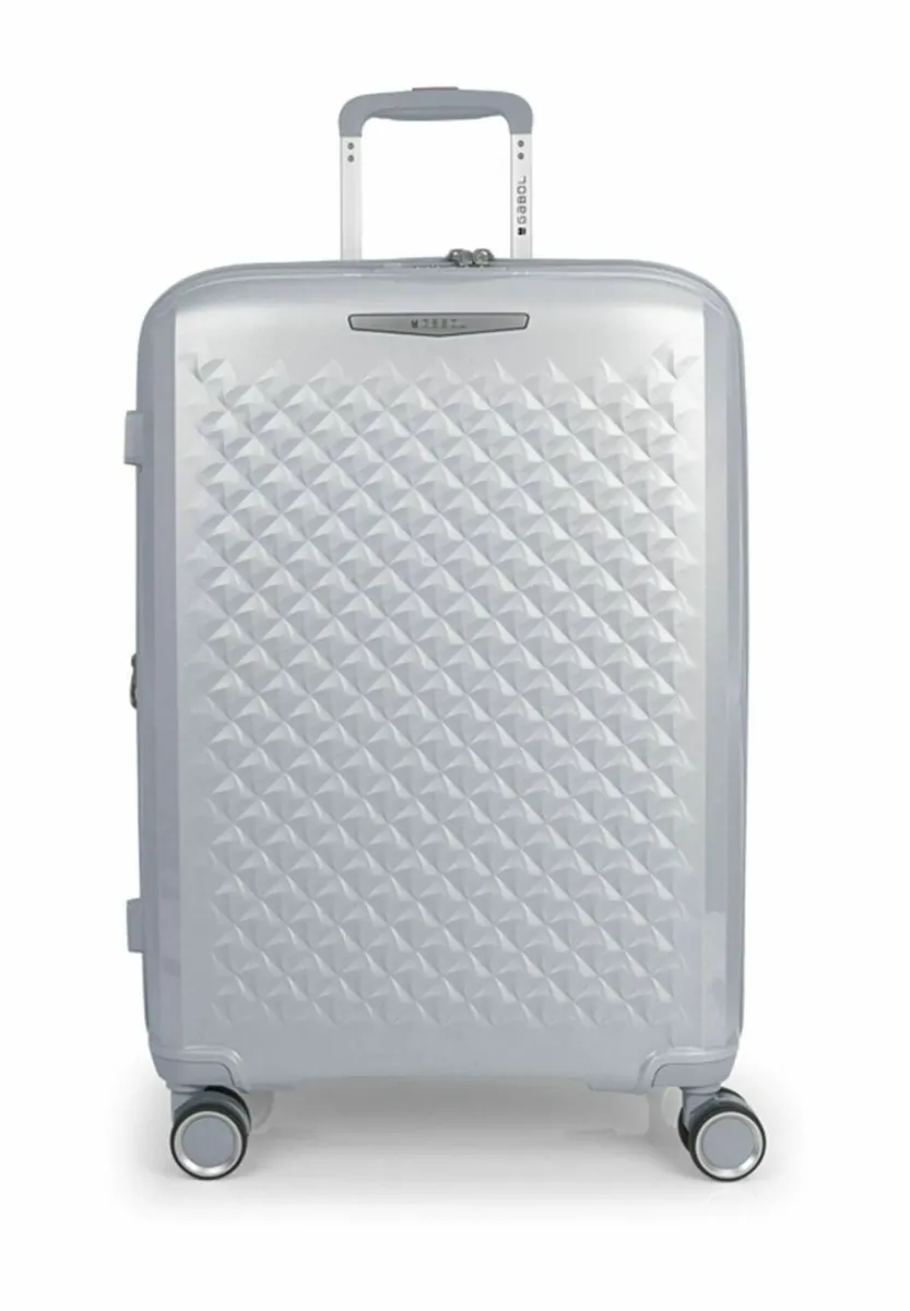 QUEENS MIT DEHNFALTE - Boardcase - plata