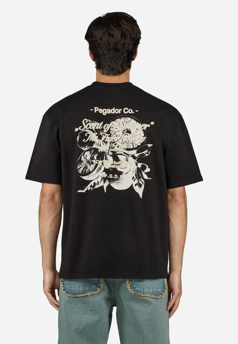 RANDO TEE - T-Shirt print - washed black