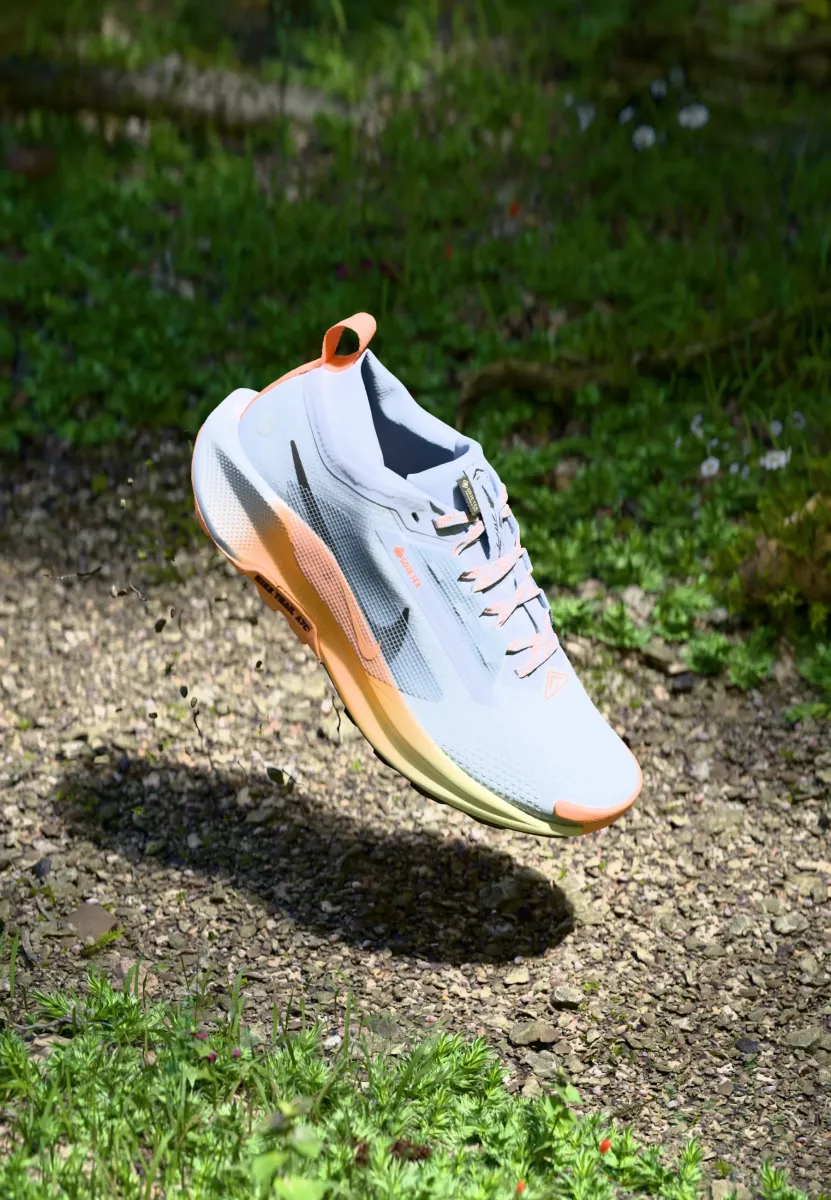 REACTX PEGASUS 5 GTX - Laufschuh Trail - ghost/black/malt/orange pulse/alabaster