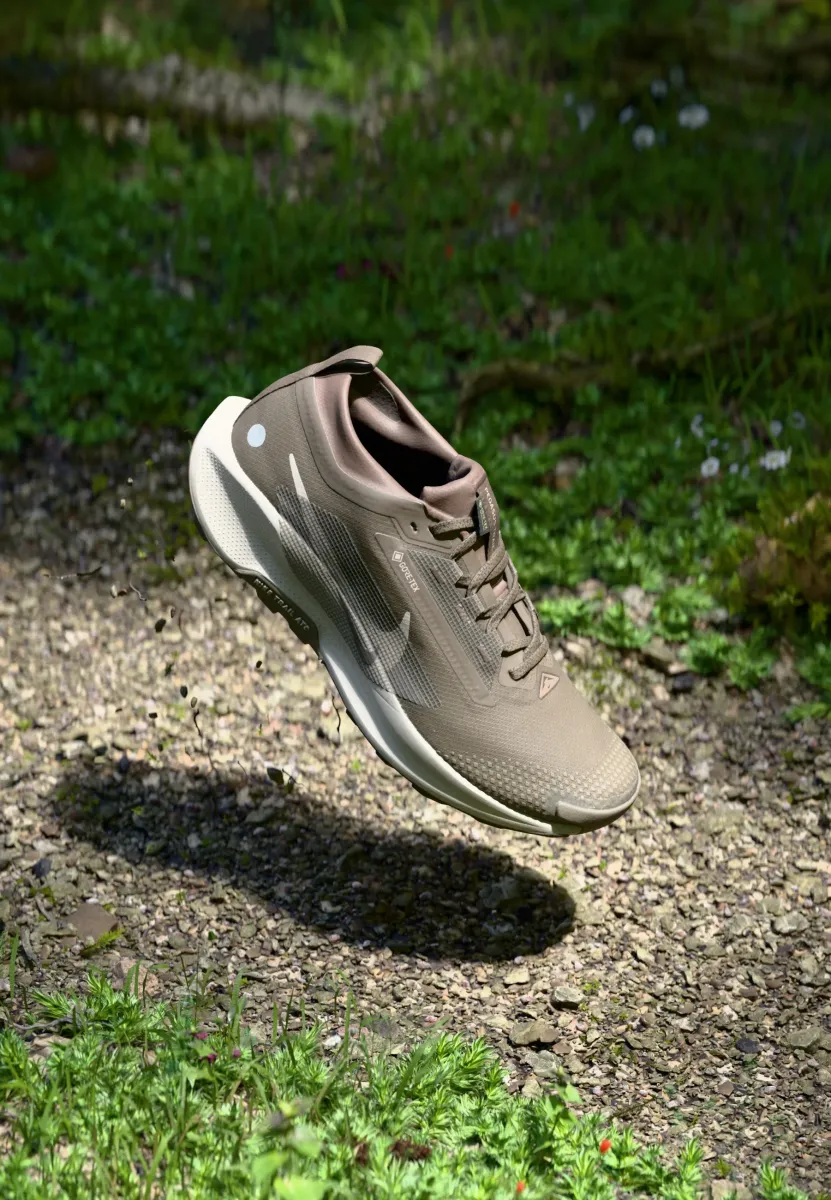 REACTX PEGASUS 5 GTX - Laufschuh Trail - ironstone/college grey/velvet brown/cave stone