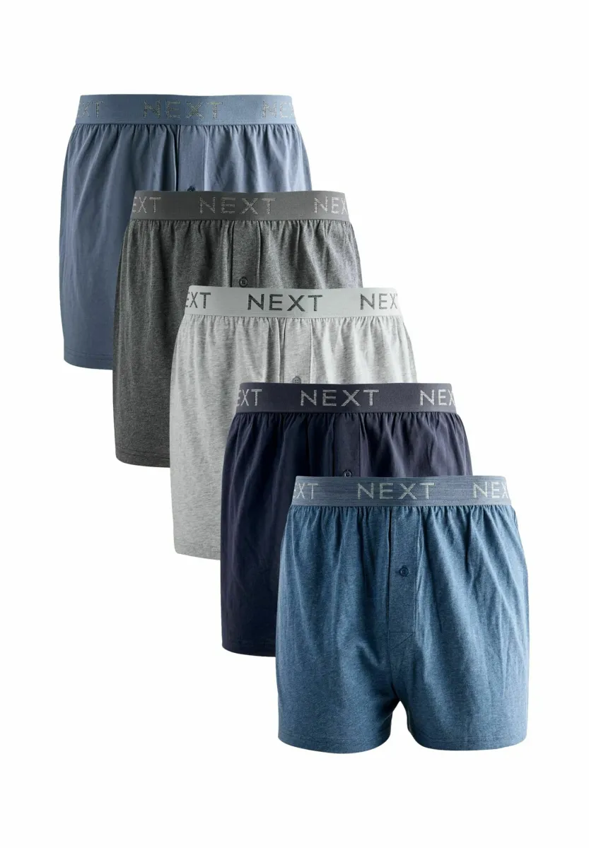 REGULAR FIT- 5 PACK - Boxershorts - blue/grey