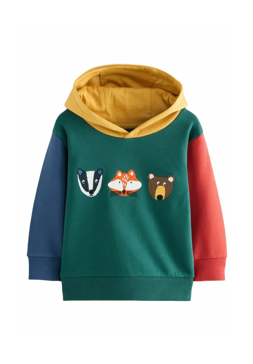 REGULAR FIT - LONG SLEEVE APPLIQUE - Kapuzenpullover - green colourblock