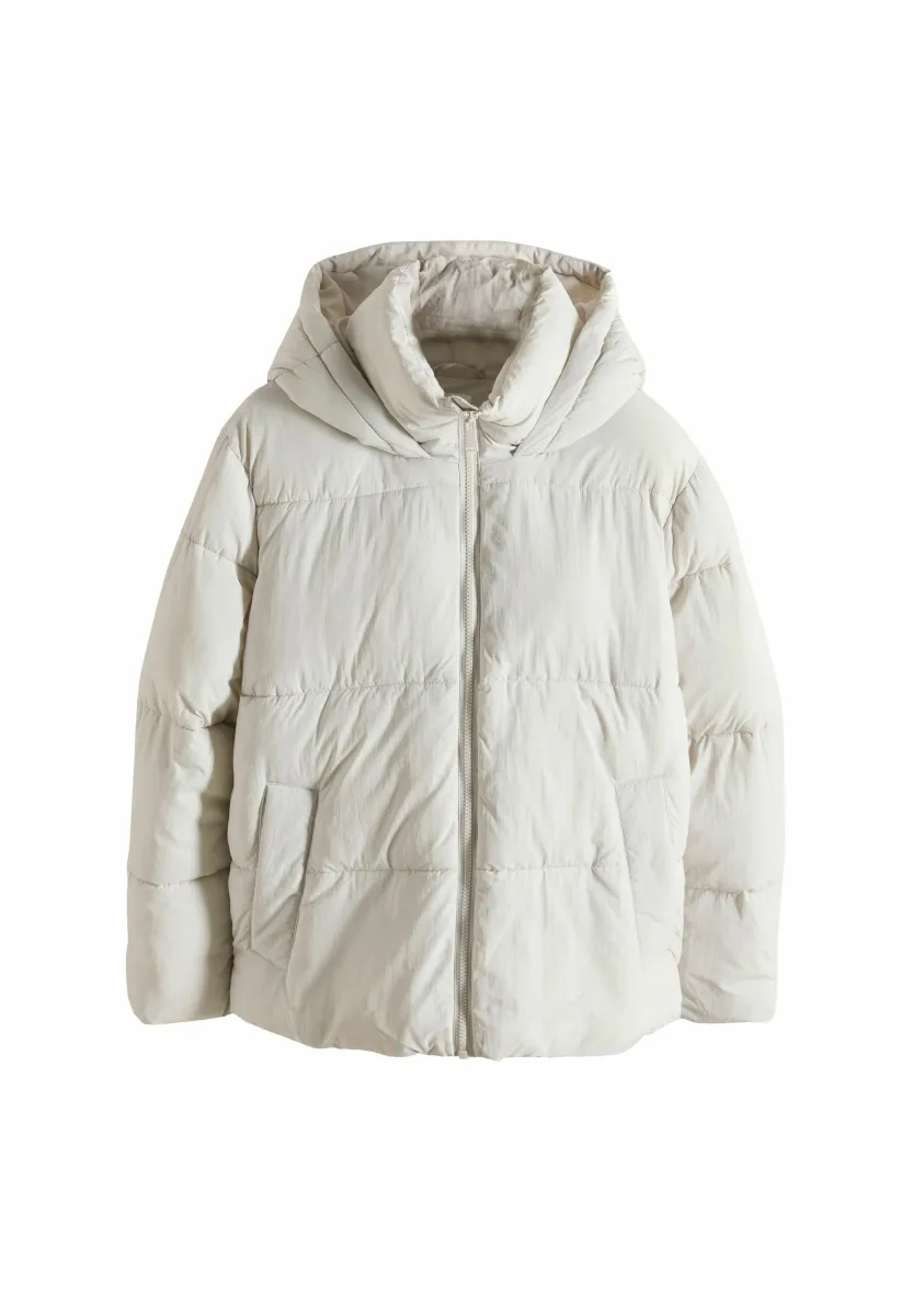 REGULAR FIT - PADDED - Winterjacke - oyster grey