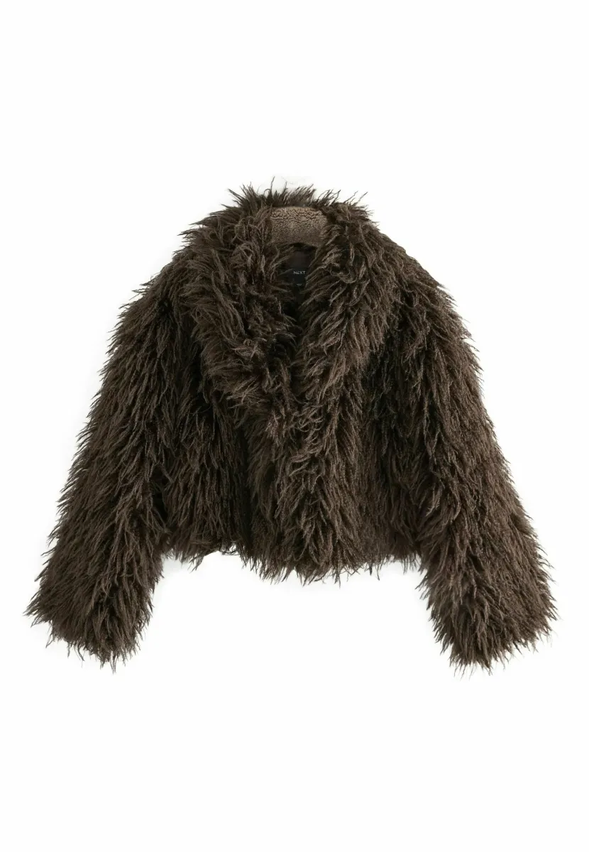 REGULAR FIT - SHAGGY  - Winterjacke - chocolate brown