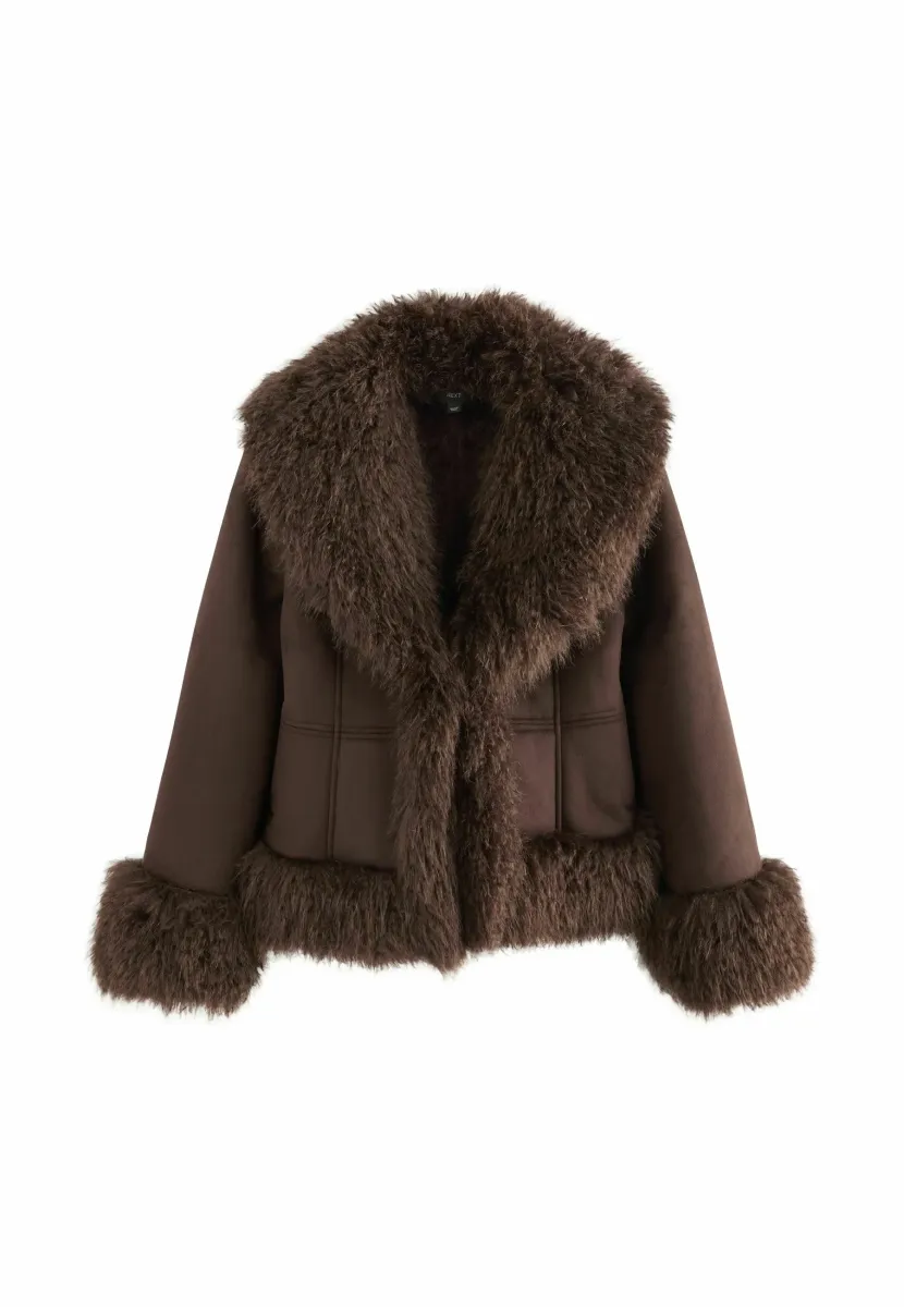 REGULAR FIT - Winterjacke - chocolate brown