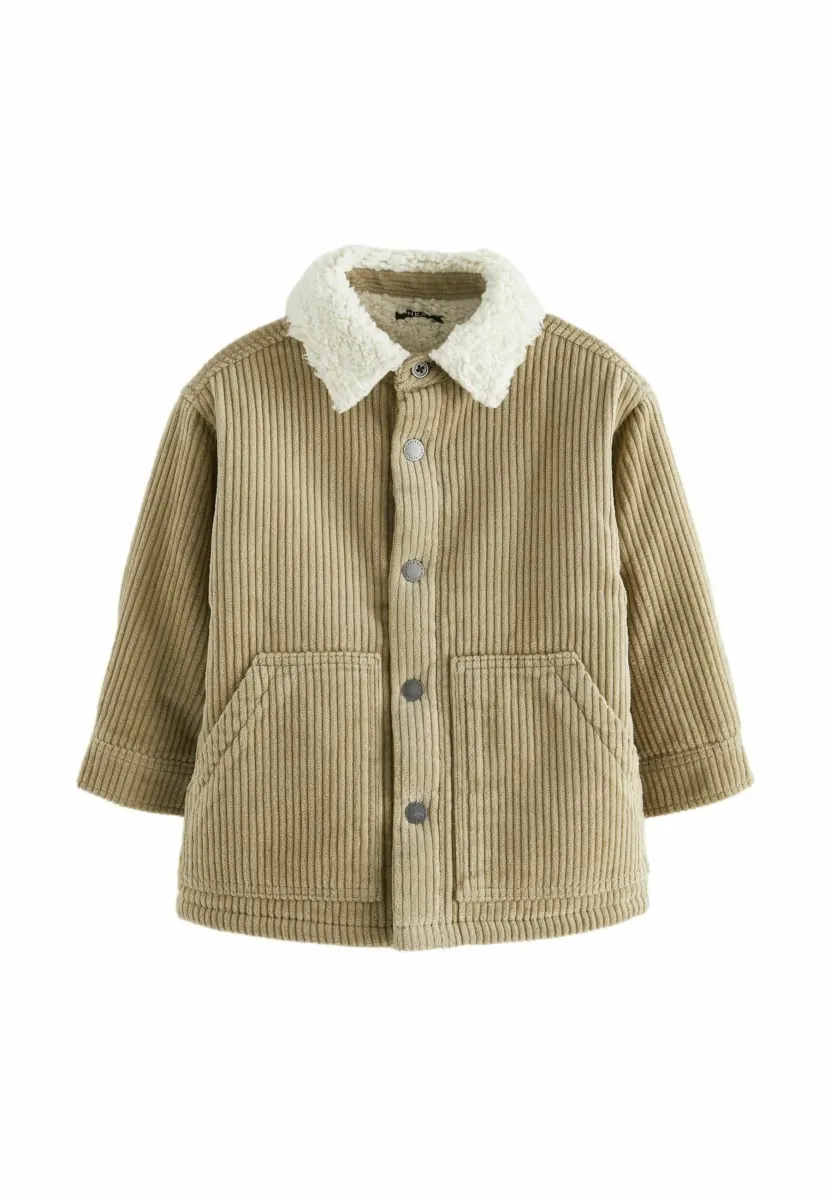 REGULAR FIT - Winterjacke - stone