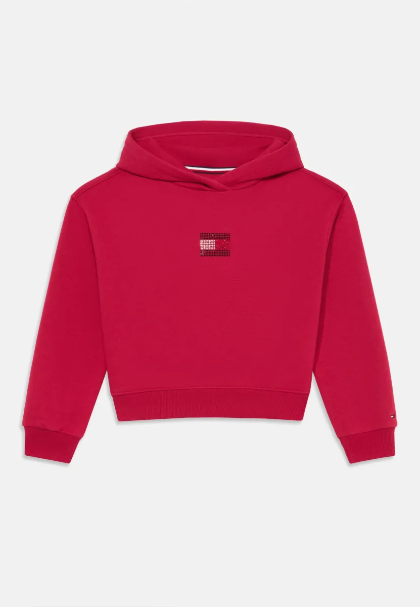 RHINESTONE FLAG HOODIE - Kapuzenpullover - ruby rhubarb