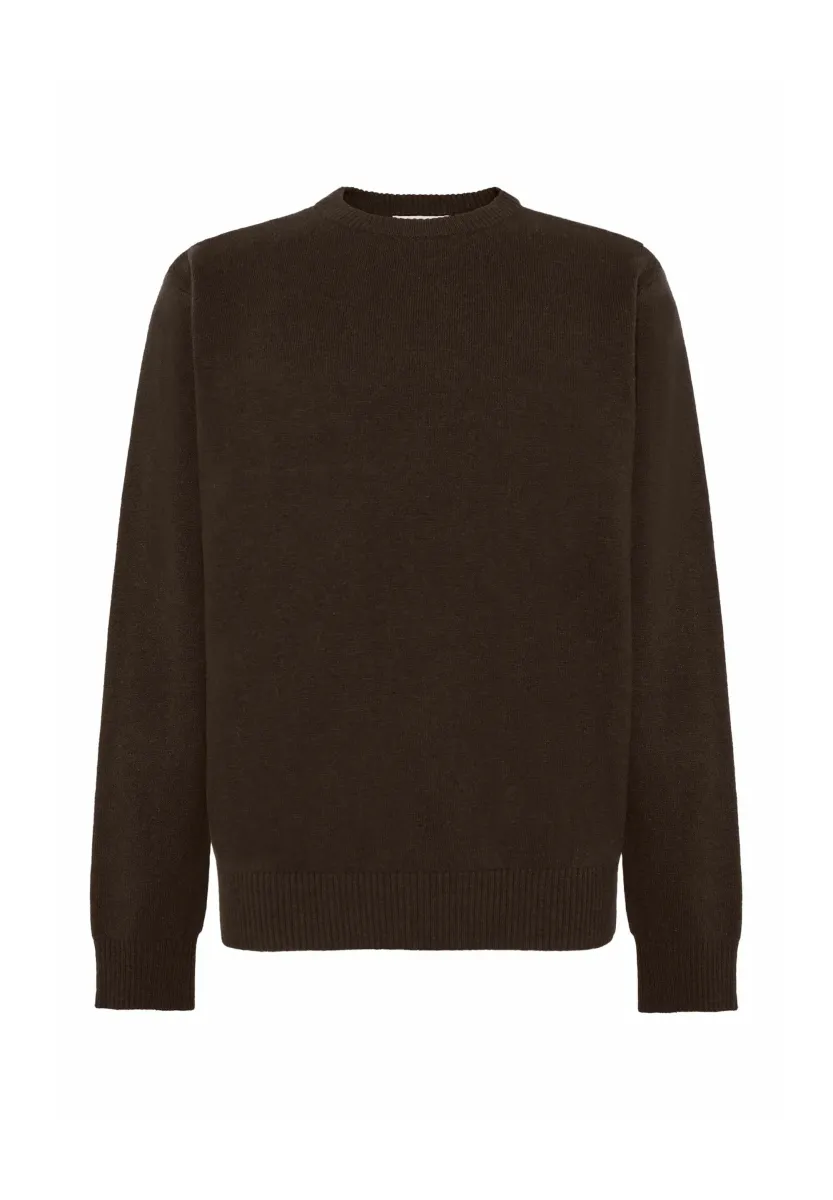ROLAND - Strickpullover - seal brown
