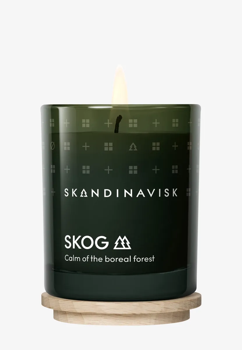 SCENTED CANDLE W LID - Duftkerze - skog