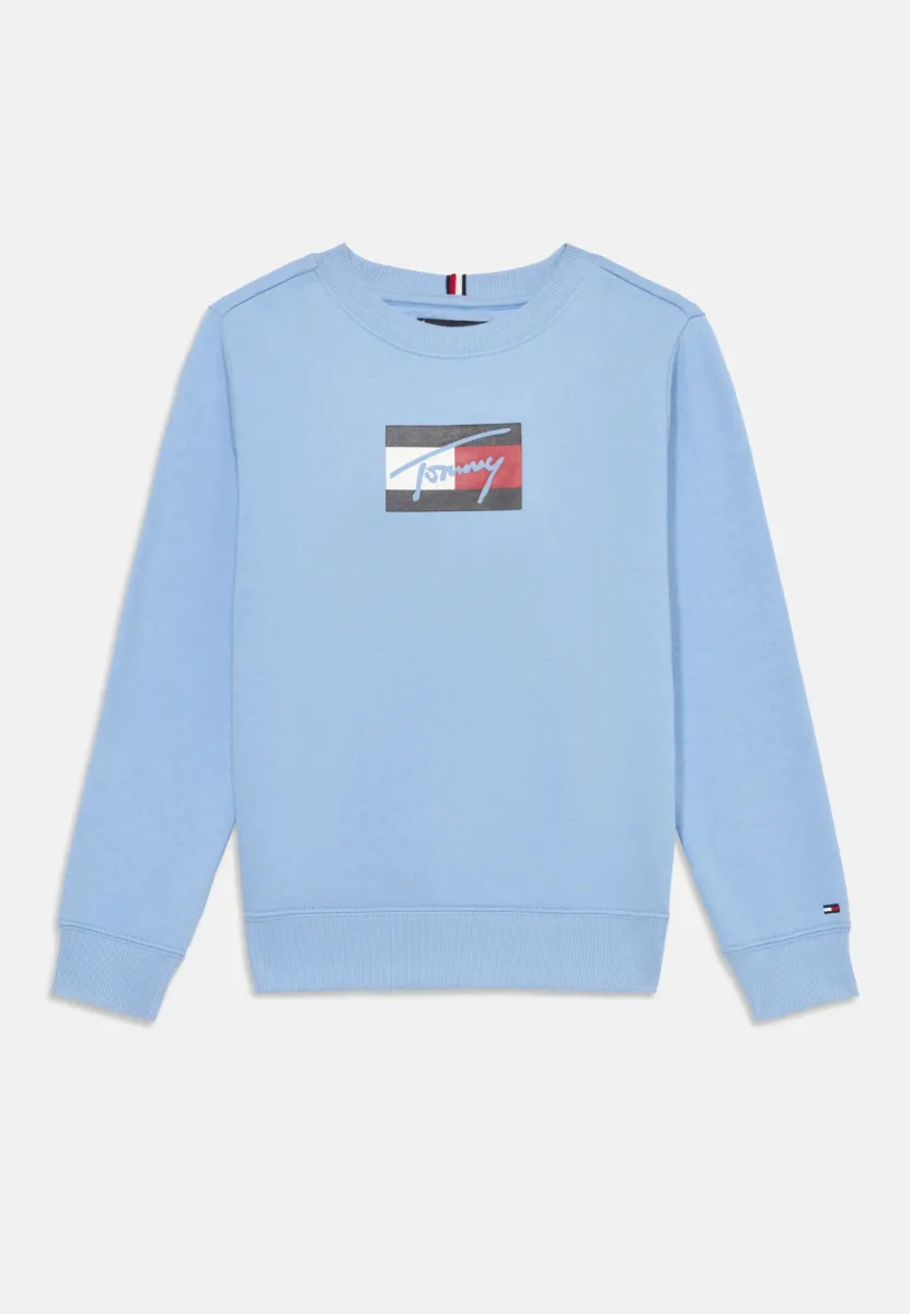SCRIPT FLAG UNISEX - Sweatshirt - cloudy blue