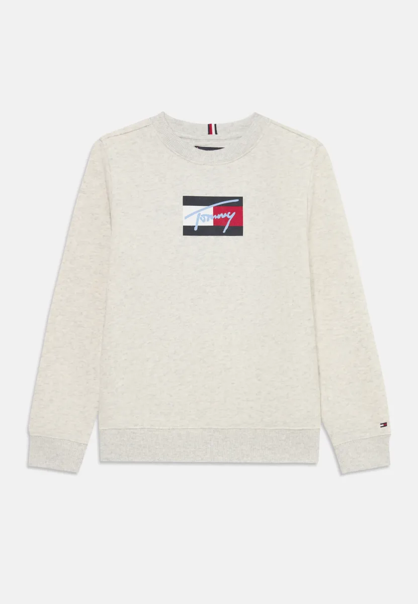 SCRIPT FLAG UNISEX - Sweatshirt - grey