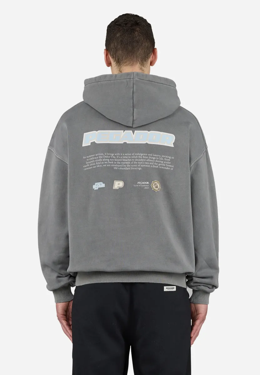 SENTINAL - Kapuzenpullover - vintage grey