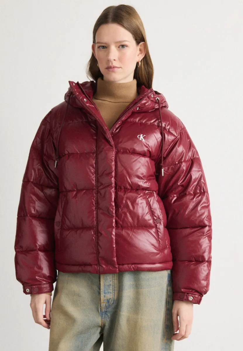 SHINE JACKET - Winterjacke - tawny port