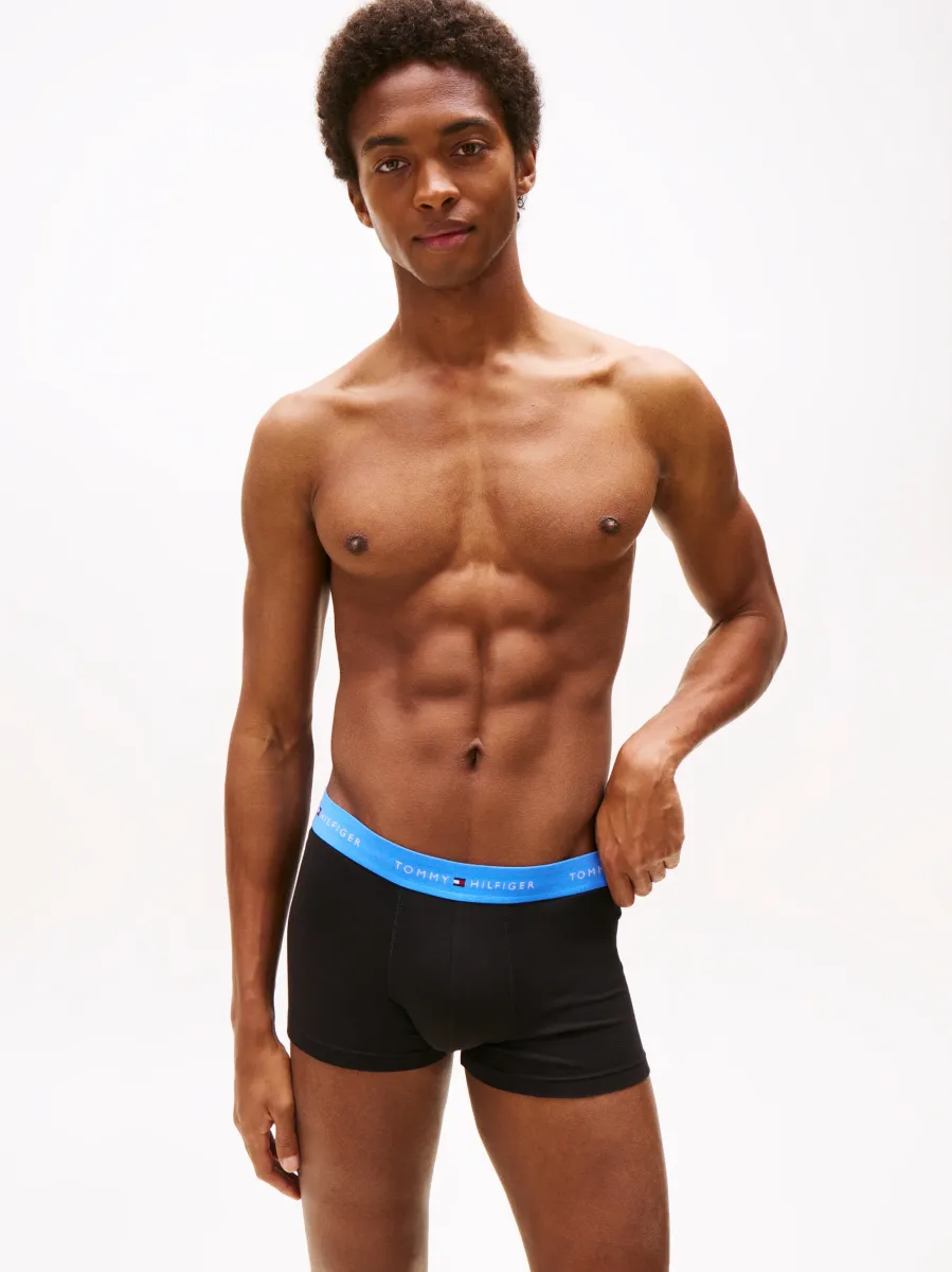 SIGNATURE TRUNK 3 PACK - Boxer Briefs - orange/blue spell/green