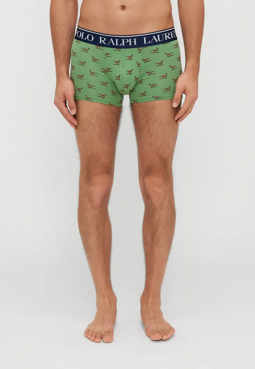 SINGLE TRUNK - Boxer Briefs - green