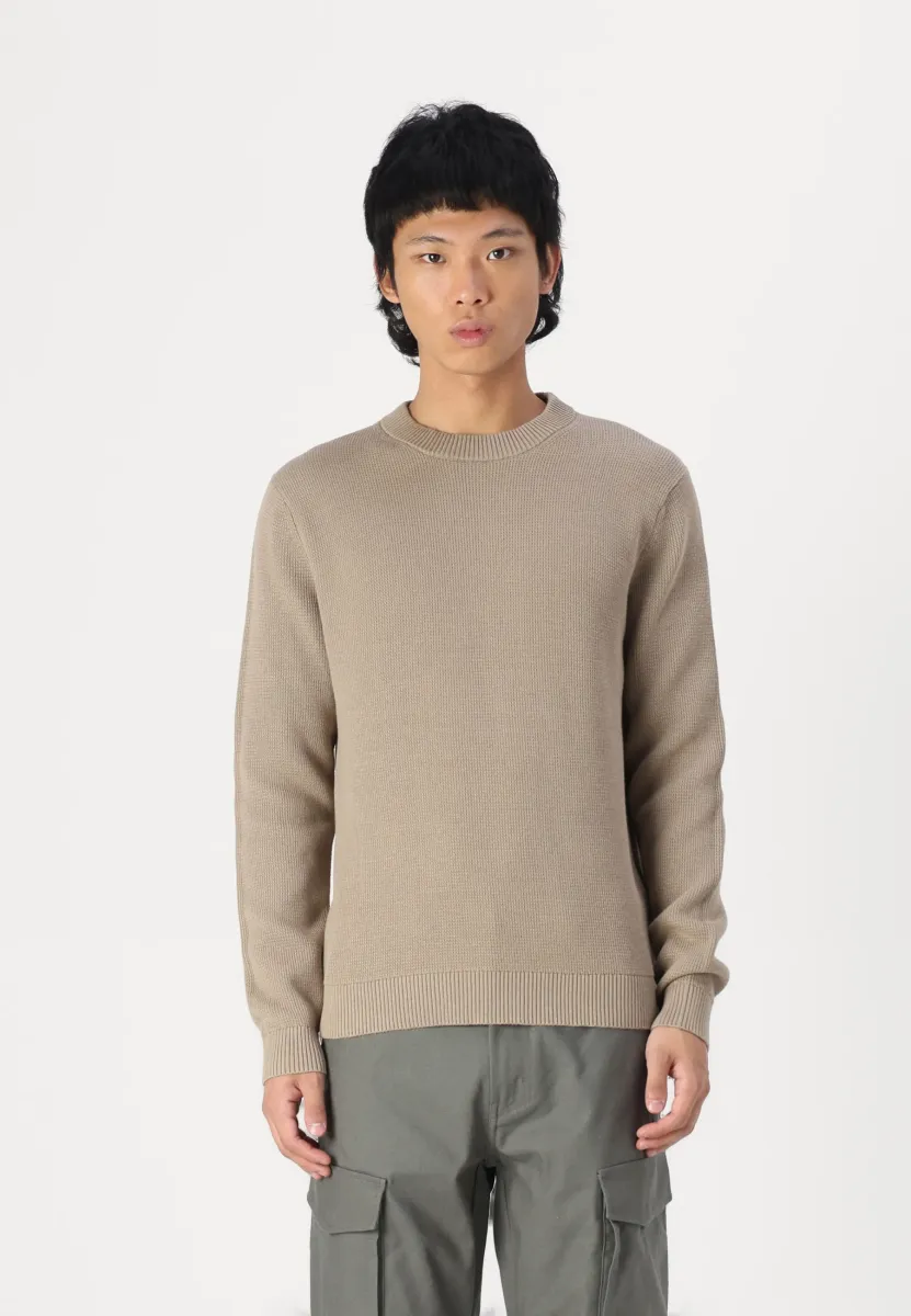 SLHDANE STRUCTURE CREW NECK - Strickpullover - greige