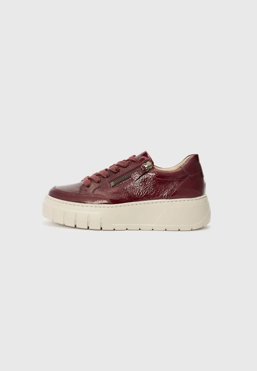 Sneaker low - bordo