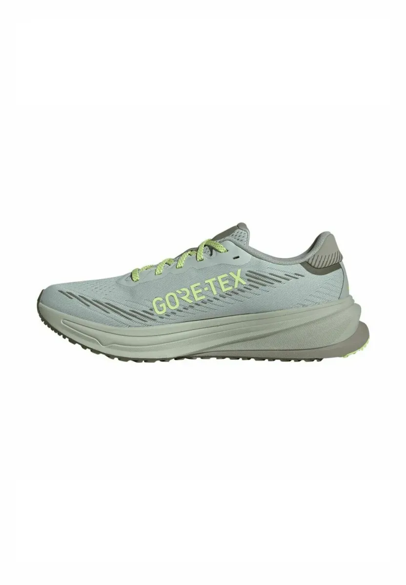 SUPERNOVA RISE GTX - Laufschuh Straße - wonsil silvmt olistr