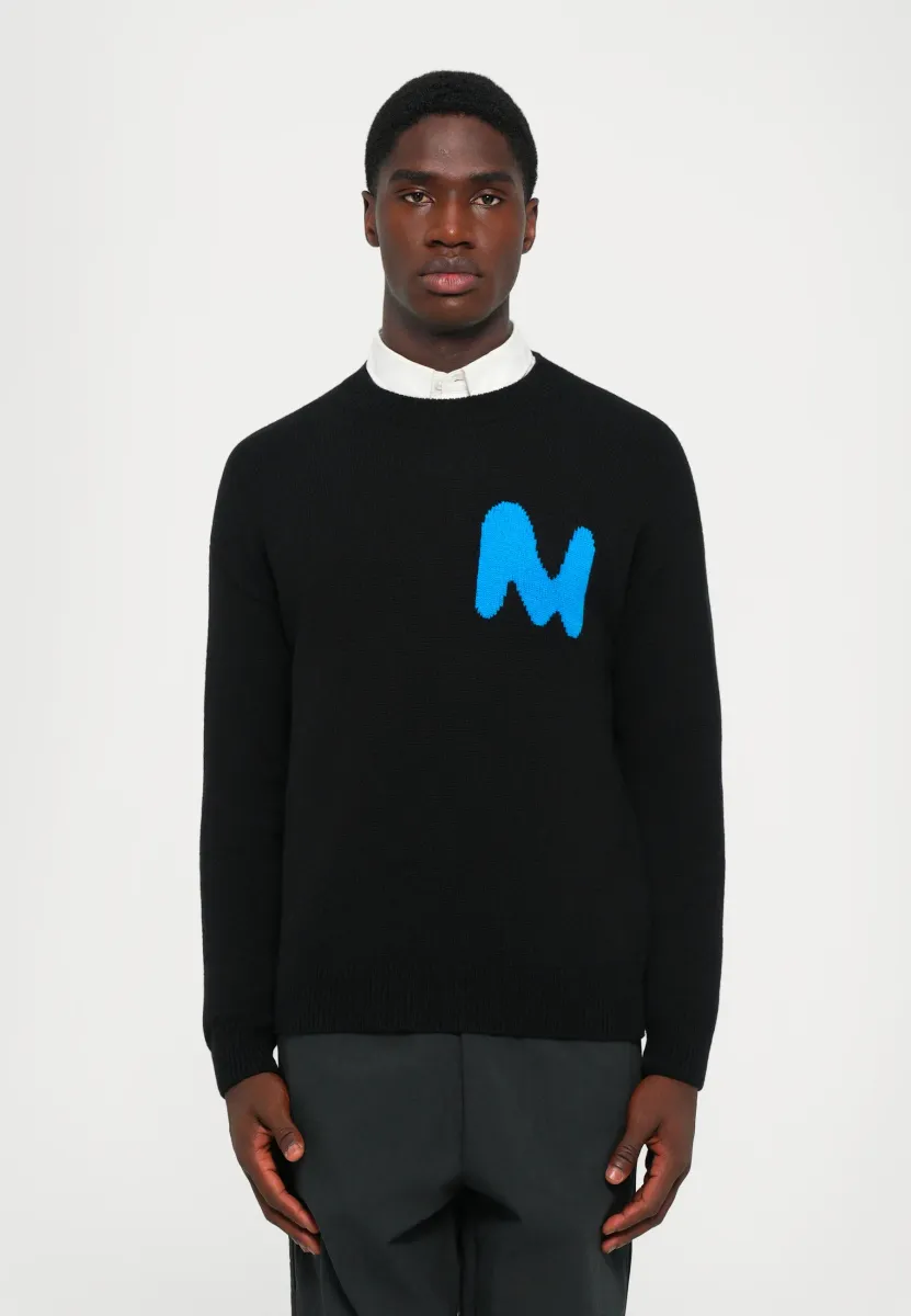 SWEATER - Strickpullover - black
