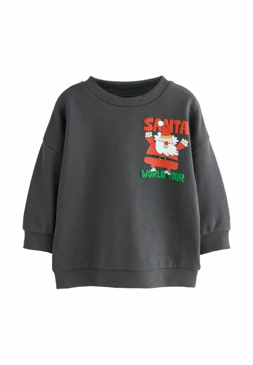 Sweatshirt - charcoal grey