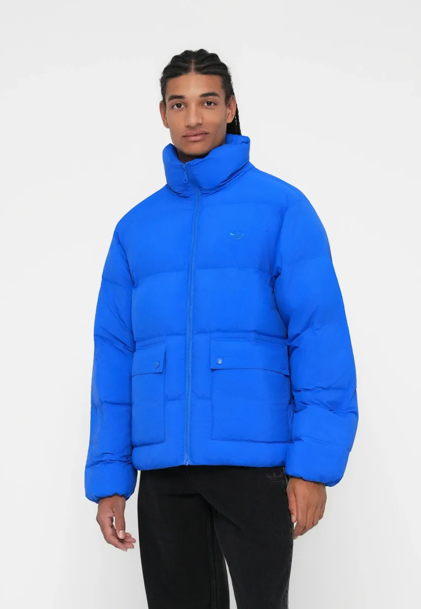SYNTHDOWN - Winterjacke - blue